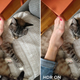 Image for article titled 7 Tips For Less Terrible Smartphone Photos